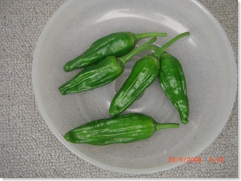 Green pepper (