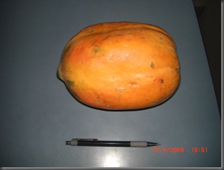 Whole_Papaya